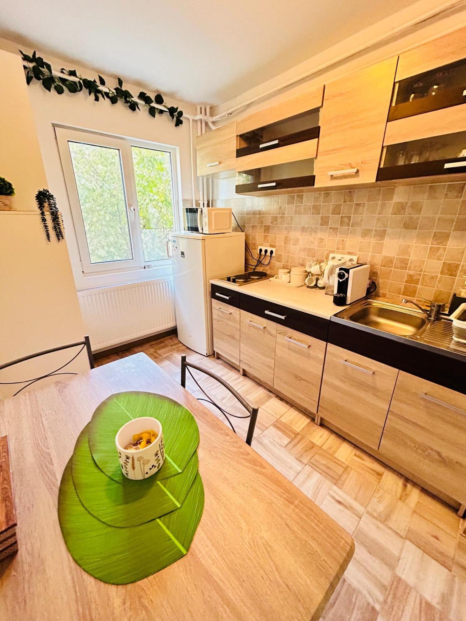 Alisz Apartments Timişoara Eksteriør billede